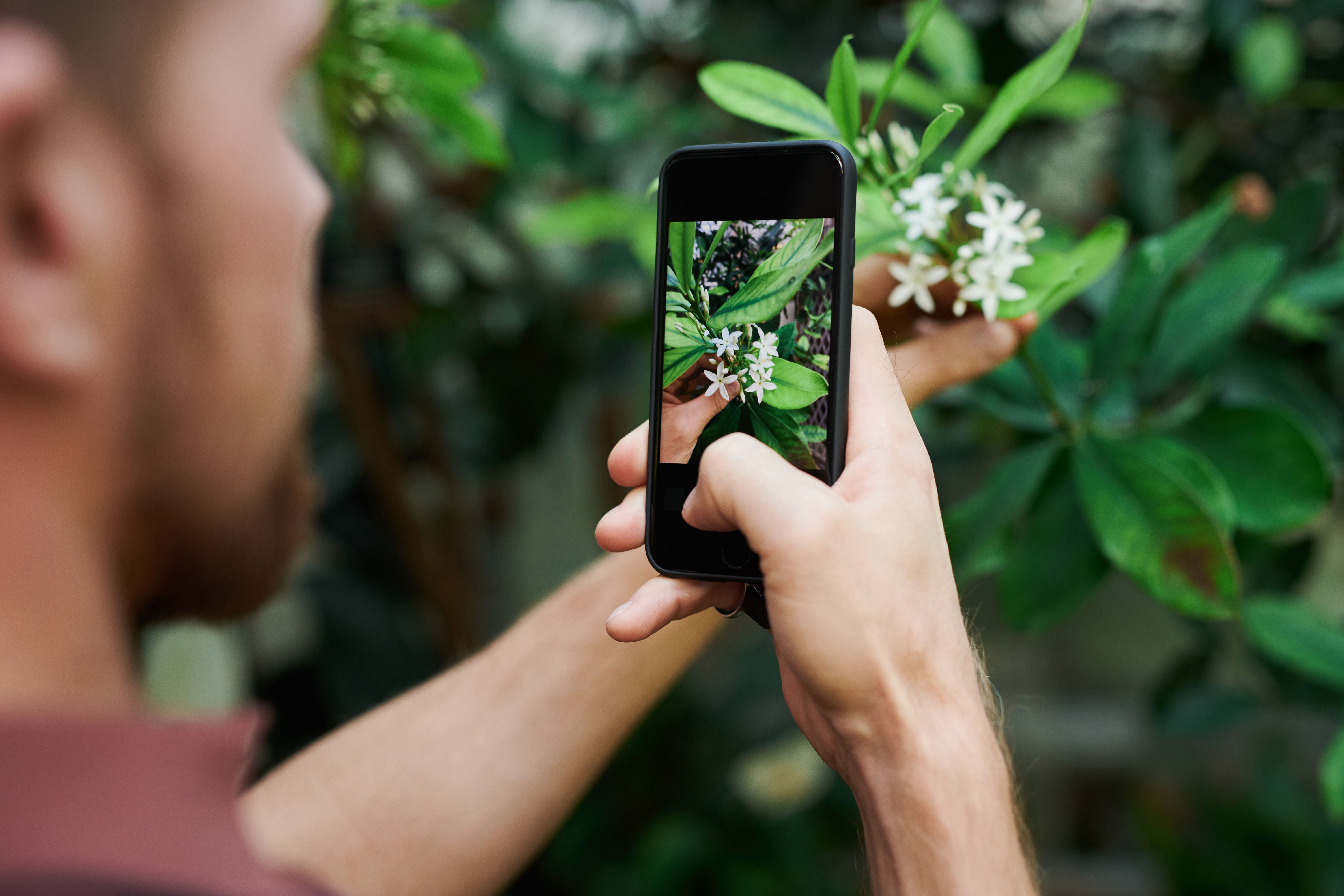 Mit dem Smartphone auf Entdeckungstour: Bei einer Exkursion in die Bega-Auen erproben die Teilnehmenden die App Observation.org direkt in der Praxis.