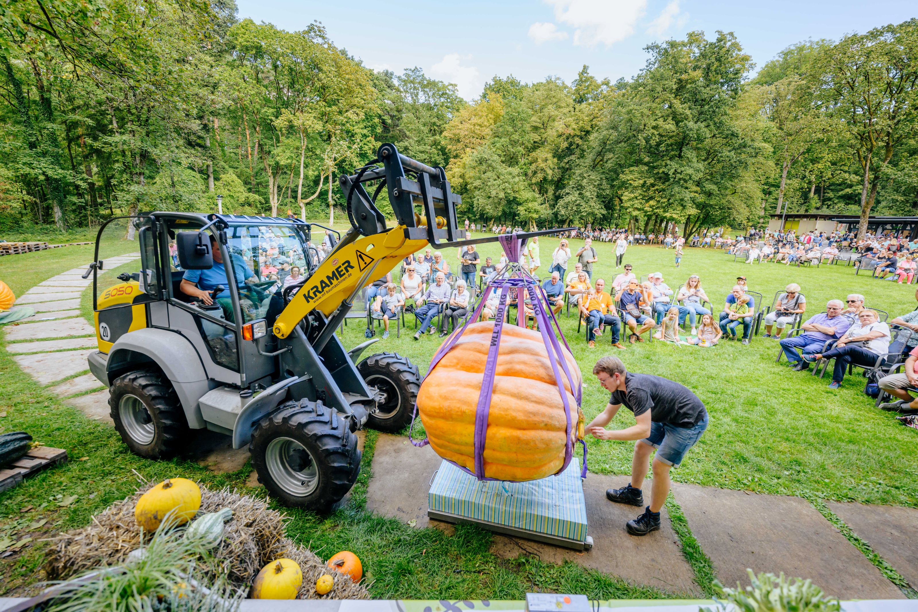 Wiegemeisterschaft der Riesenkürbisse beim Kürbisfestival