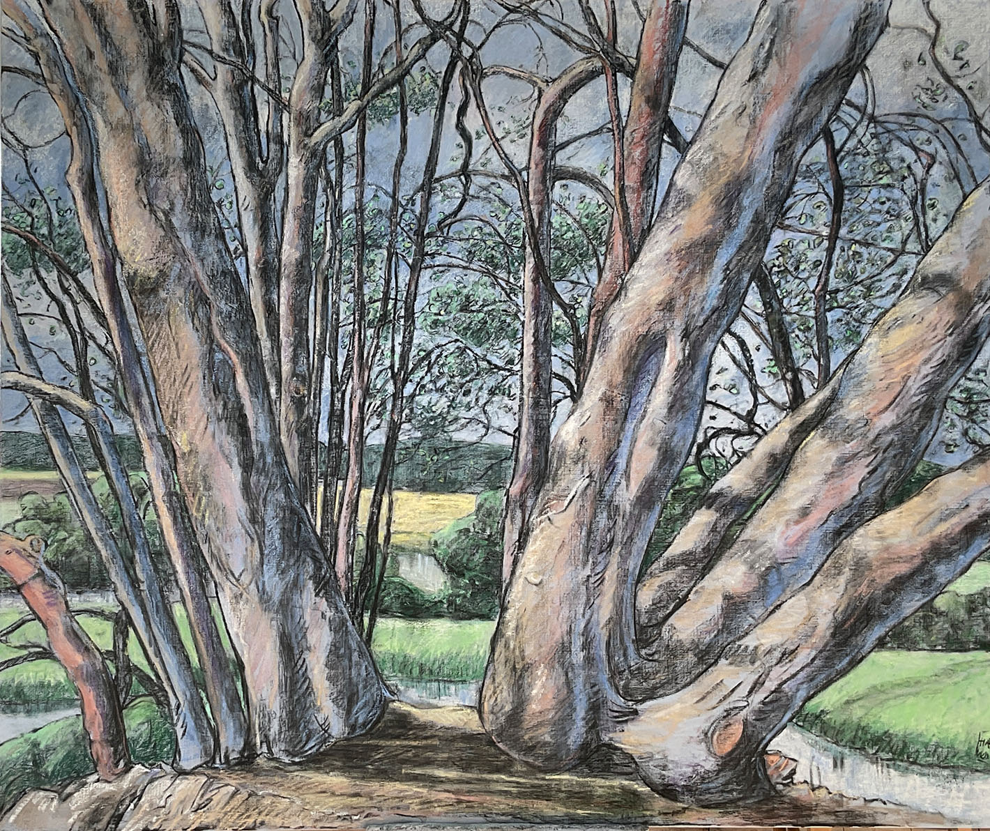 Waldbaden im Kellerwald
