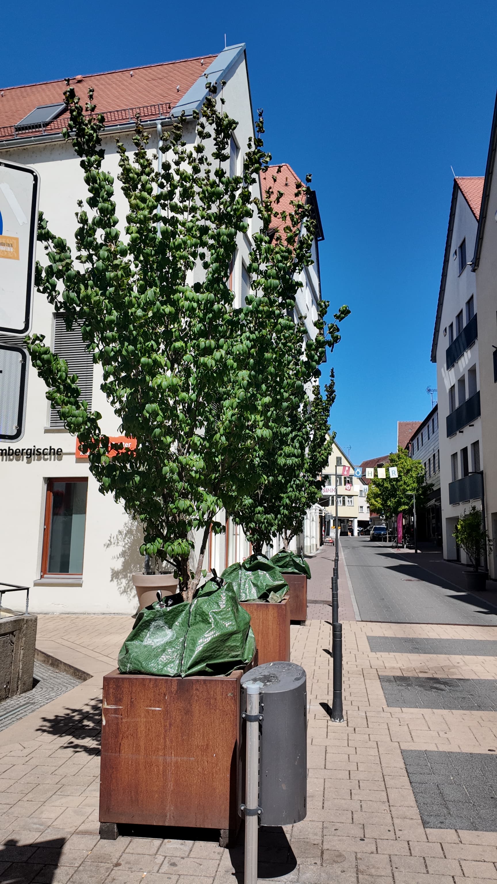 Informationsveranstaltung zur umgestalteten Rathausstraße mit Führung