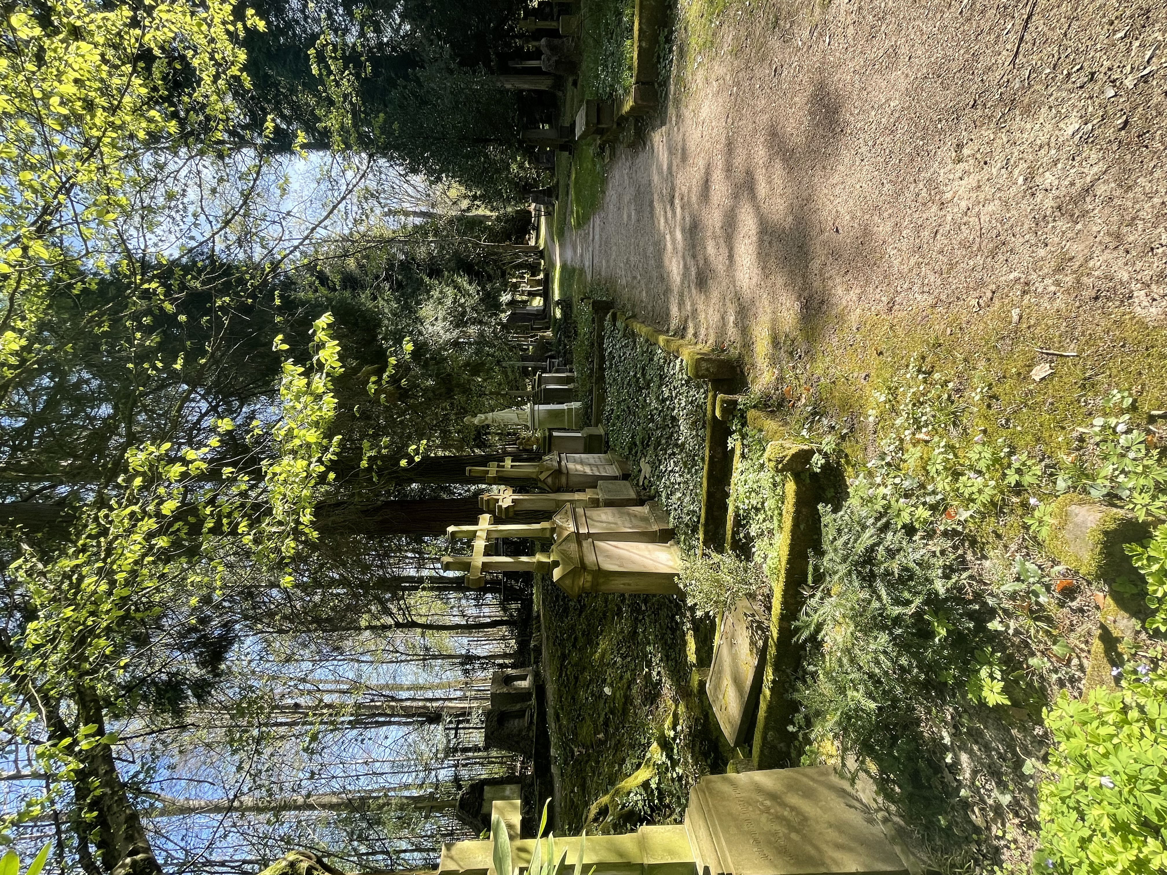 Friedhofsweg mit Gräbern am Illenauer Friedhof, Blick auf Grabreihen entlang des Weges.