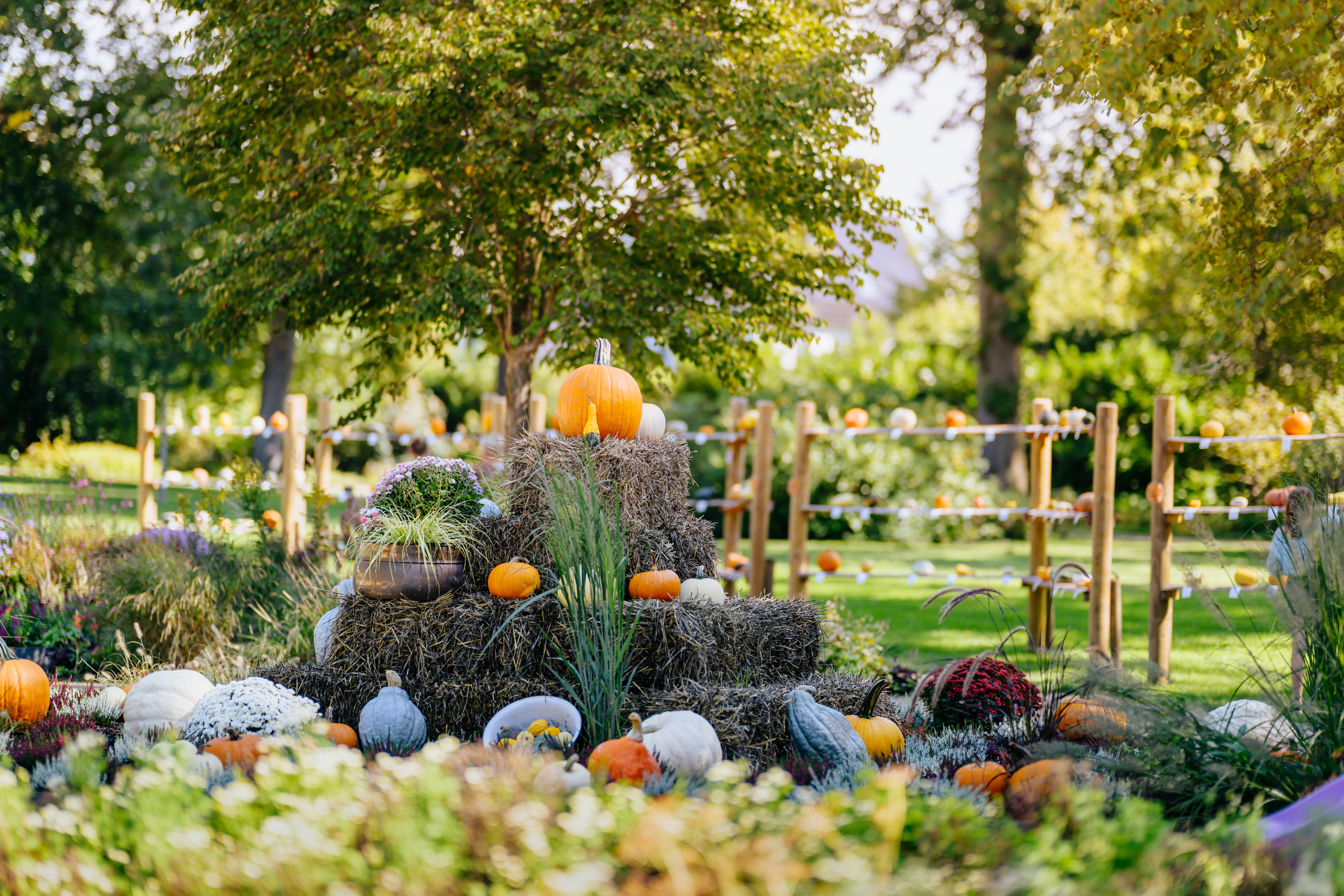 Eröffnung des Kürbisfestivals in der Gartenschau