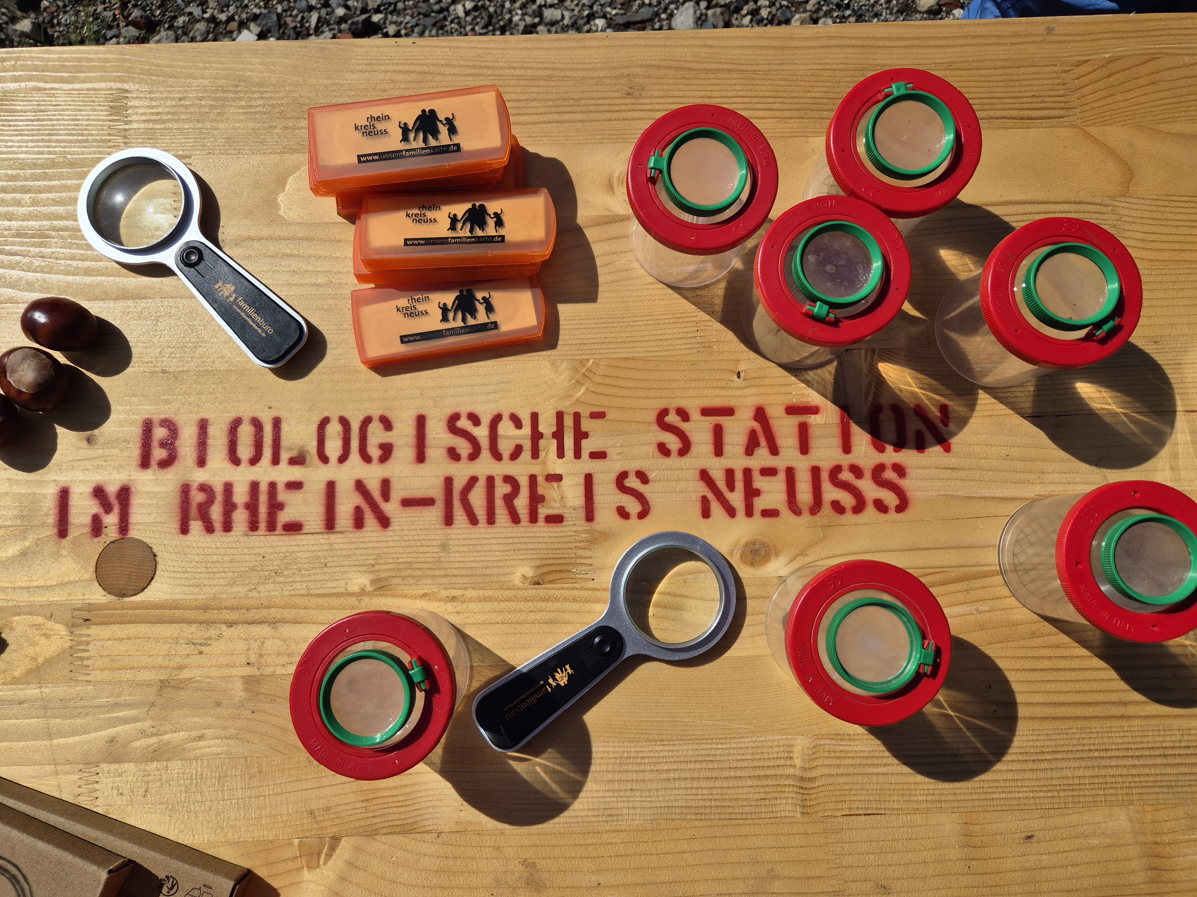 Naturdetektive unterwegs